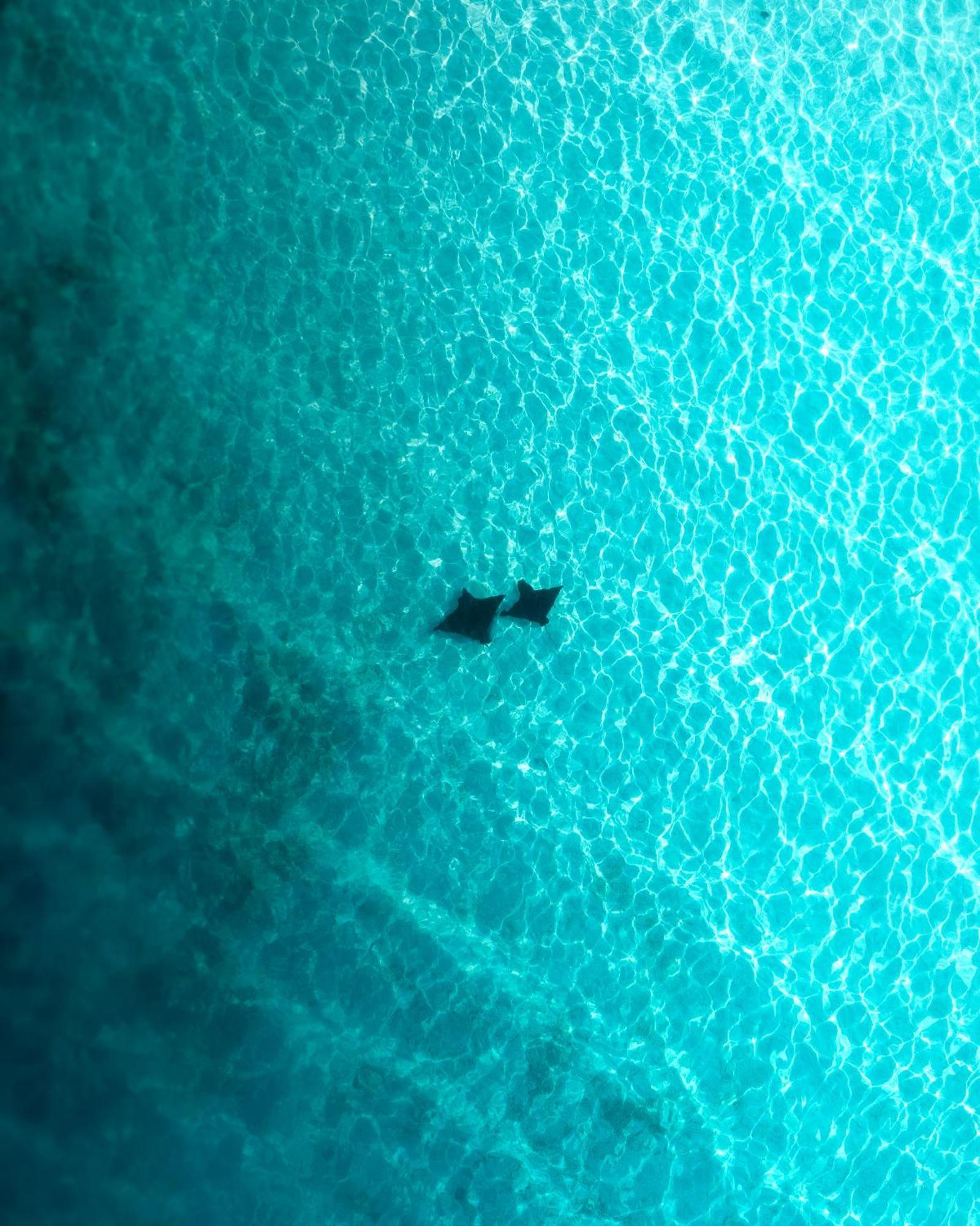 Guest house Ocean Pearl Maldives At Island