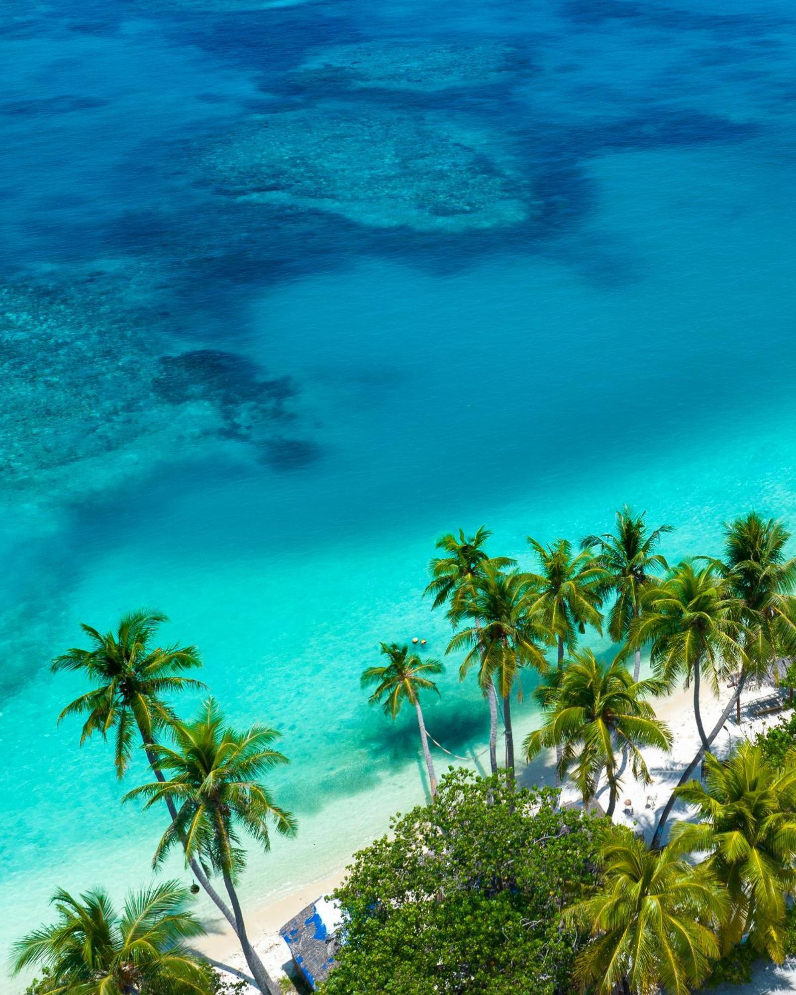 Ocean Pearl Maldives At Island *